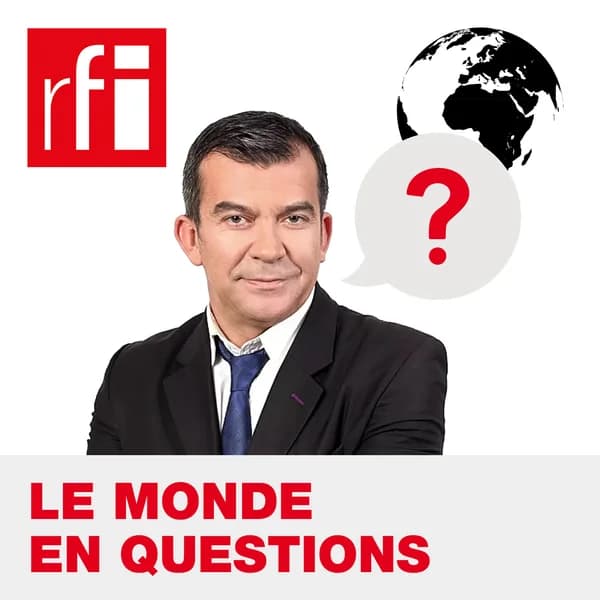 Cover art for Le monde en questions
