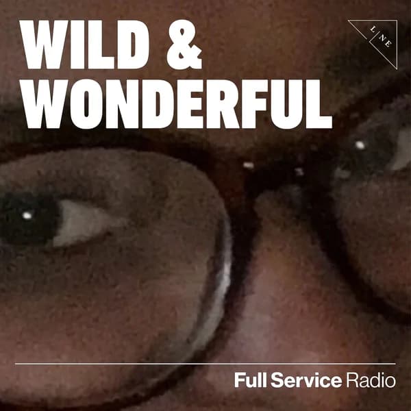 Cover art for Wild and Wonderful with Allison Lane