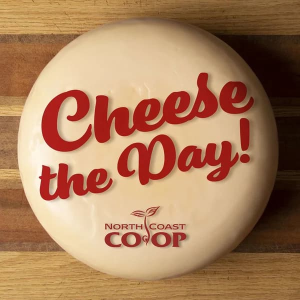 Cover art for Cheese the Day!