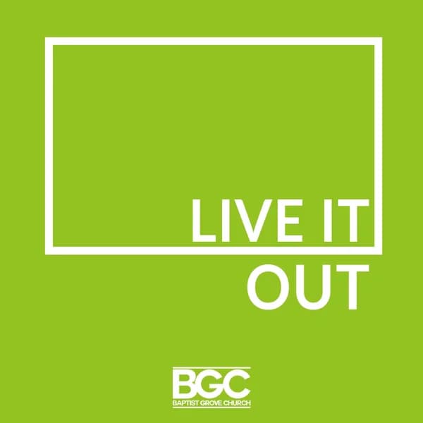 Cover art for Live It Out