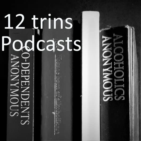 Cover art for 12 trins podcast