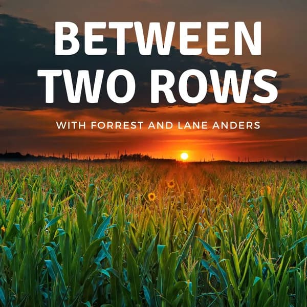 Cover art for Between Two Rows