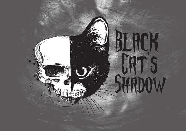 Cover art for Black Cat's Shadow