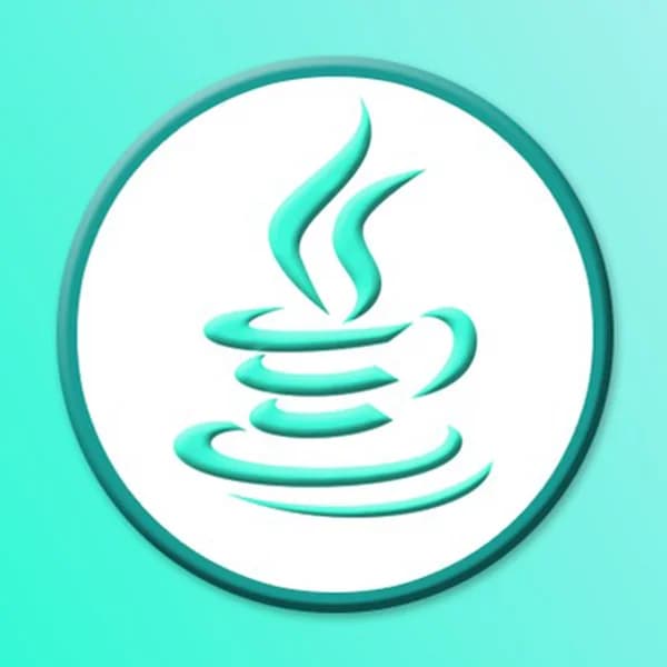 Cover art for [APJ] Algorithm and Programming in Java