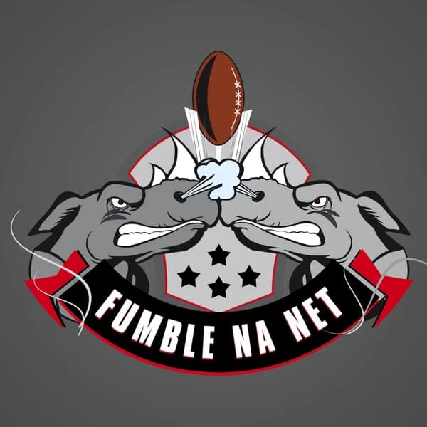 Cover art for Fumble na Net