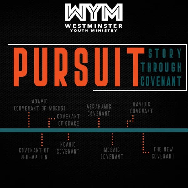 Cover art for Pursuit: Story Through Covenant