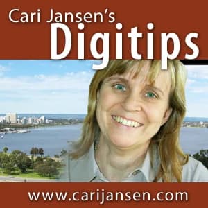 Cover art for Cari Jansen's Digitips
