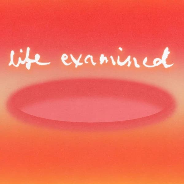 Cover art for Life Examined