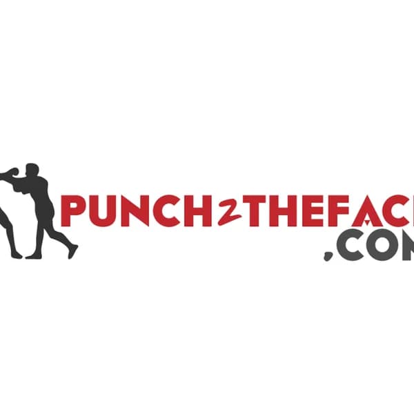 Cover art for Punch 2 The Face Podcast