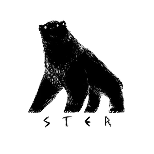 Cover art for STER on the road