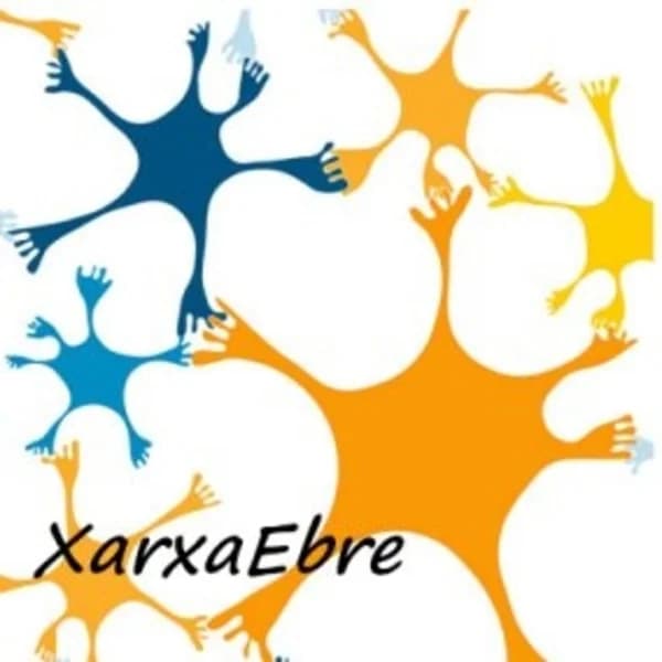 Cover art for Els programes de XarxaEbre