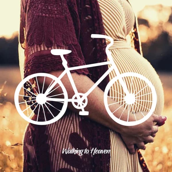 Cover art for Walking To Heaven - Caminata de la Encarnación