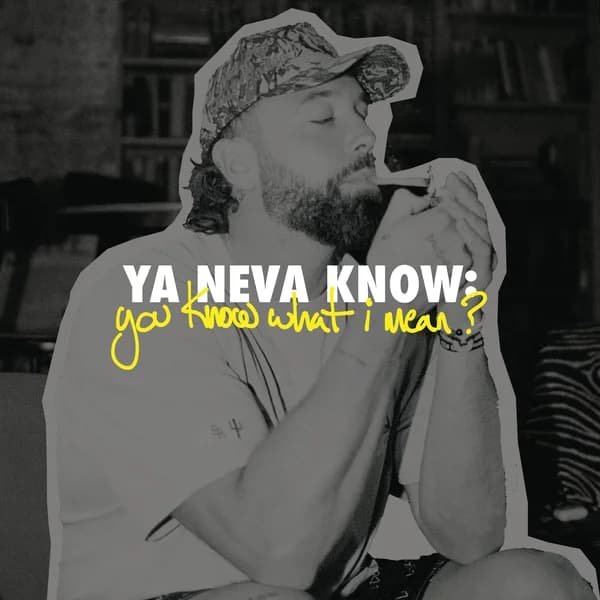 Cover art for YNK: you know what I mean?