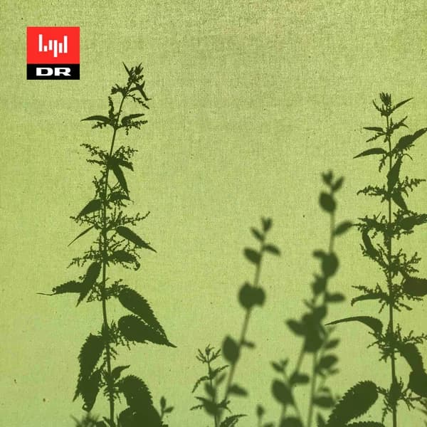 Cover art for Audiens