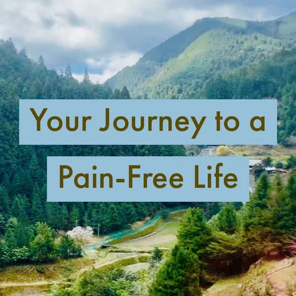 Cover art for Your Journey to a Pain Free Life