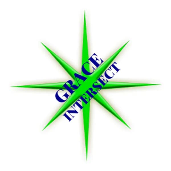 Cover art for Grace Intersect