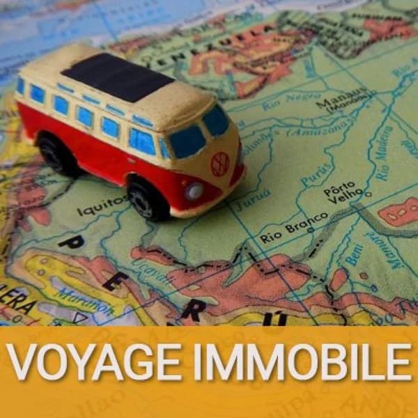 Cover art for Voyage Immobile