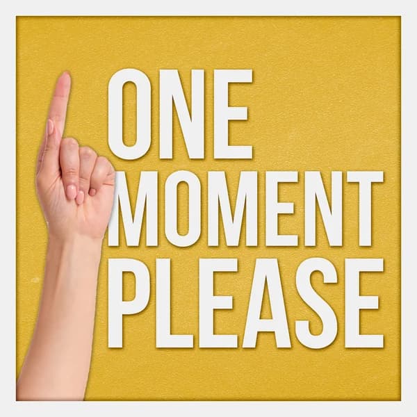 Cover art for One Moment Please