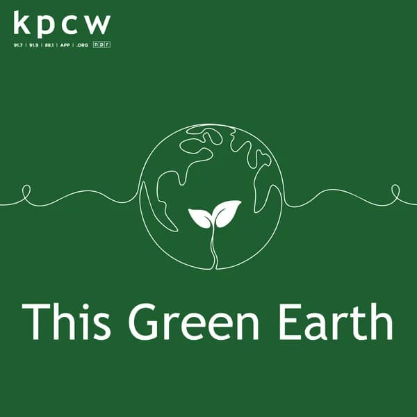 Cover art for This Green Earth