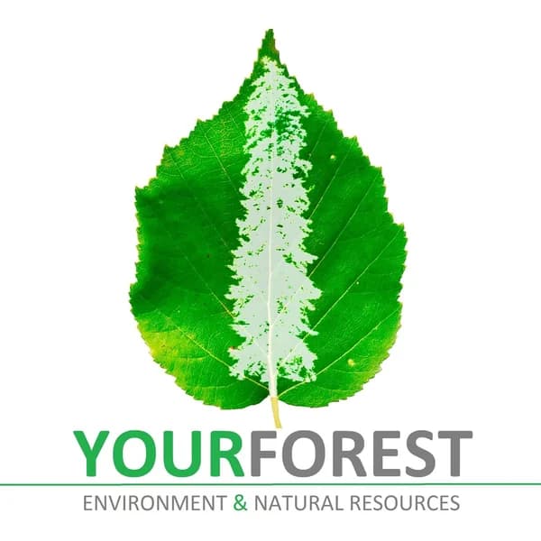 Cover art for YourForest