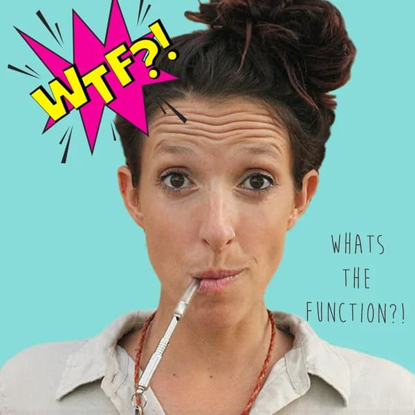 Cover art for W.T.F What's the Function?!