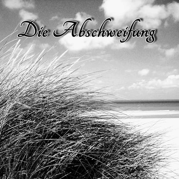 Cover art for Die Abschweifung