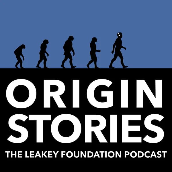 Cover art for Origin Stories