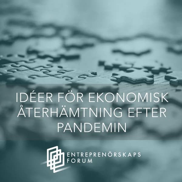 Cover art for Efter pandemin