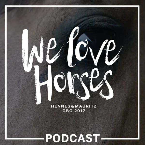 Cover art for H&M We Love Horses