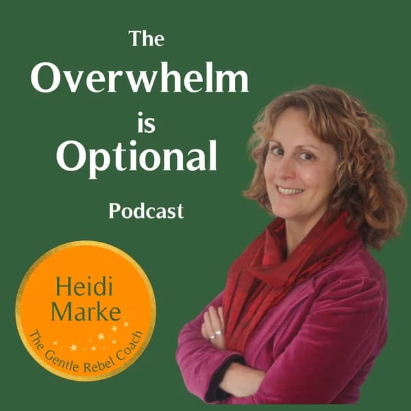 Cover art for Overwhelm is Optional