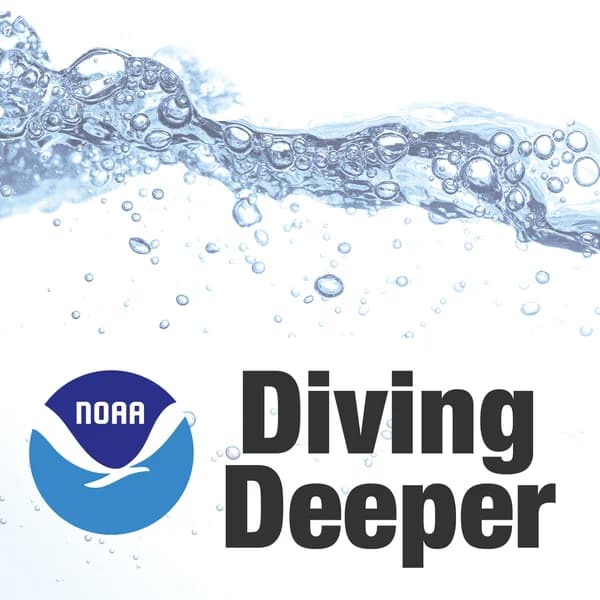 Cover art for NOAA: Diving Deeper