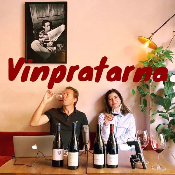 Cover art for Vinpratarna