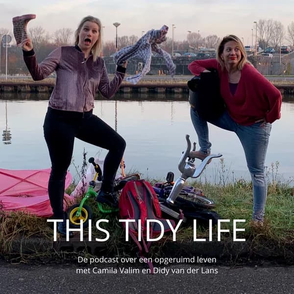 Cover art for This Tidy Life - de podcast over een opgeruimd leven
