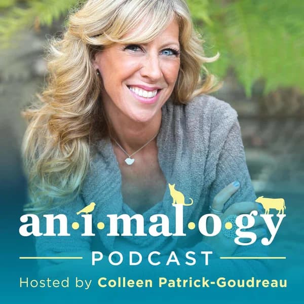Cover art for Animalogy: The Animals in Our Everyday Words & Phrases