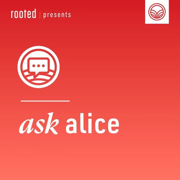 Cover art for Ask Alice