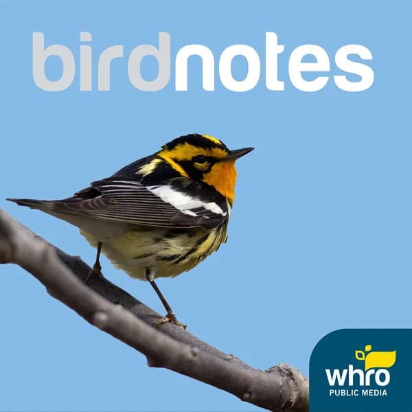 Cover art for BirdNotes