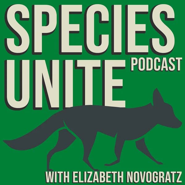 Cover art for Species Unite
