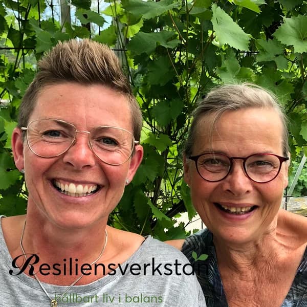 Cover art for Resiliensverkstan