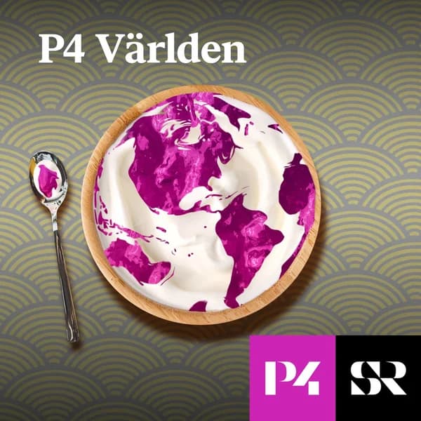 Cover art for P4 Världen