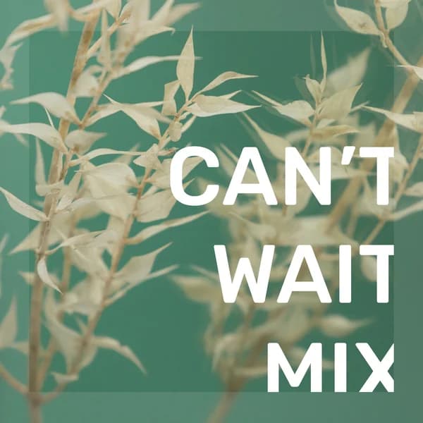 Cover art for Can't Wait Mix