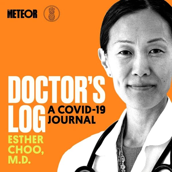 Cover art for Doctor's Log