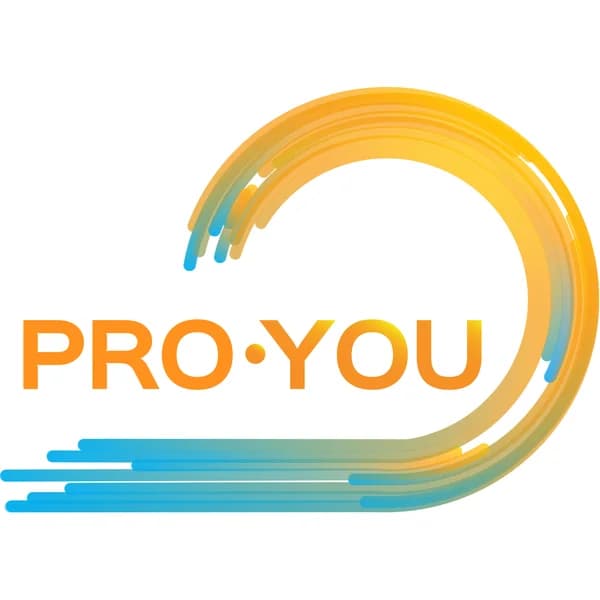 Cover art for Pro You Podcast