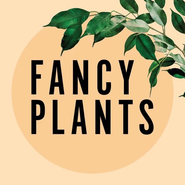 Cover art for Fancy Plants Podcast