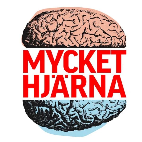 Cover art for Mycket Hjärna