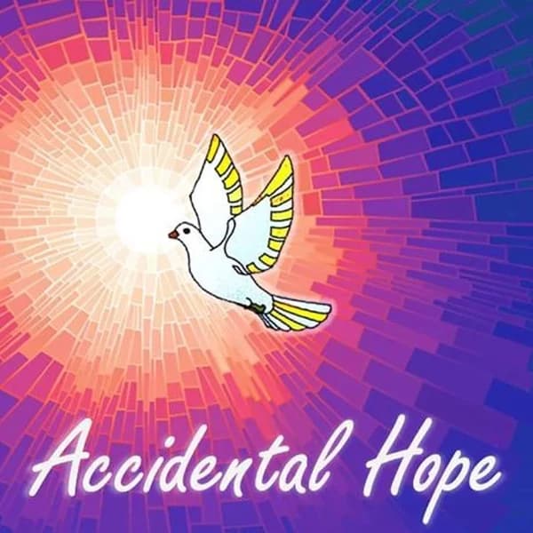 Cover art for Accidental Hope