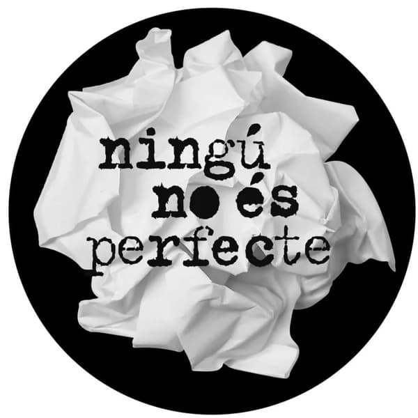 Cover art for NINGU NO ES PERFECTE