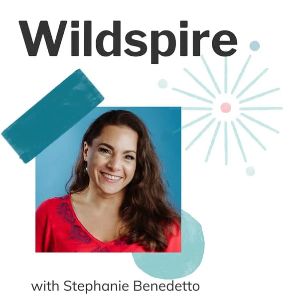 Cover art for Wildspire