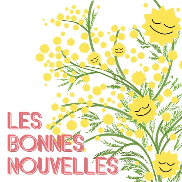Cover art for Les Bonnes Nouvelles