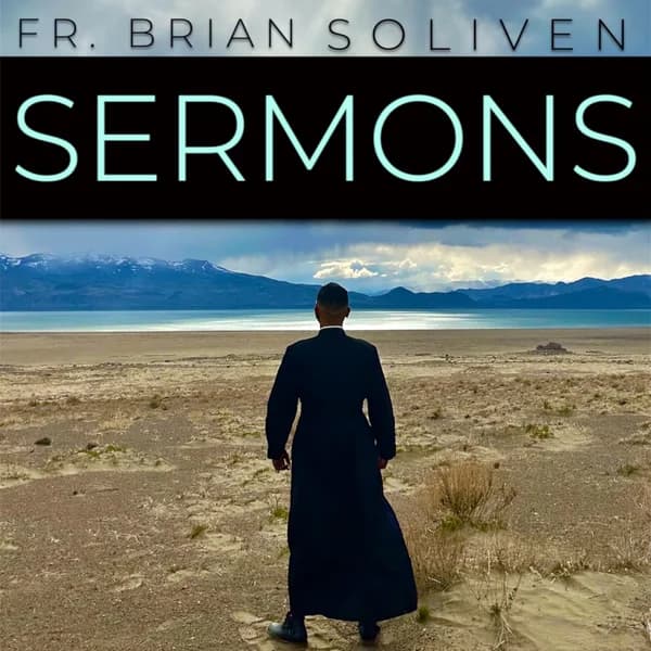 Cover art for Fr. Brian Soliven Sermons