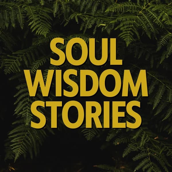 Cover art for Soul Wisdom Stories